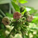 송인농장 이미지