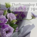 댓플라워샵 - 7678 | 댓플라워샵