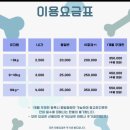 자유유치원 | 만수동 애견유치원 추천｜대형견도 가능한 도그아지트 후기