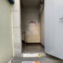 베베룻 이미지
