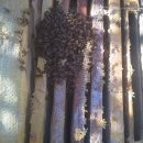 무주읍180 이미지