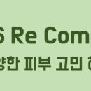 H1526 이미지