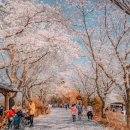 청송슈퍼 | 이런 엿같은 사랑 촬영지 총정리, 구진 엿마을은 당진·청송·예천 어디?