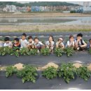 노적봉농장 이미지