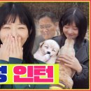레이지니 이미지