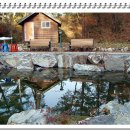 수가솔방 이미지