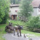 하이디모텔 이미지