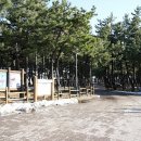 망상오토캠핑리조트 이미지