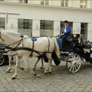 우리마차 이미지