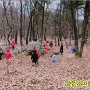 만안유치원 이미지