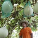 구성농장 이미지