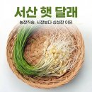 달래총각신선직거래몰 | 서산 햇 달래 농장직송, 시장보다 싱싱한 이유가 뭘까?