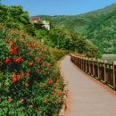 장미공원안내소 이미지