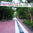 280포병대대