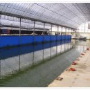 중흥 낚시터 이미지