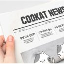 주식회사 쿠캣