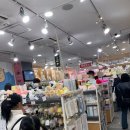 ㅁ번째ㅁ요일의 의식 | 아이와 해외여행,도쿄여행 3박4일계획 및 간단 후기 _디즈니랜드