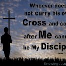 Bible Reading - Luke 14:20~28 이미지