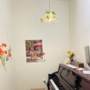 피아노이야기학원 | 신촌피아노학원 피아노 제대로 배우고 싶어 ?