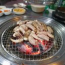산꼼장어&막창 이미지