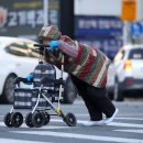 대구보조기 이미지