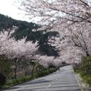 삼포 이미지