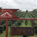 동남농장 이미지