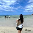 (주)미스터멘션 | 제주도 보름살기 숙소 독채 비용 미스터멘션 제주 겨울 여행 코스 후기