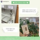 녹색화장품 이미지