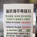 연안여객선터미널 | 내 차로 제주여행 9. 일돈 제주 흑돼지 혼밥, 제주 무인 기념품가게, 제주항 연안여객선 터미널 - 24.08.28
