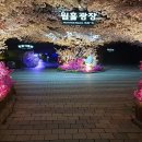 광명동굴 VR체험관 이미지