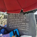 샛도리물 이미지