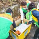 금산면사무소 이미지