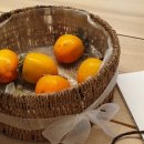 우리동네책문화 협동조합 이미지