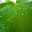 아동요리지도사 이미지