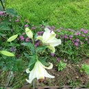 성보공인중개사무소 이미지