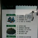 청아람 | 광양맛집) 청아람 /이색요리 건강해지는 톳요리전문점 / 자연식밥상 전복톳영양밥