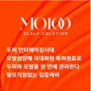 반하는 홍헤어#