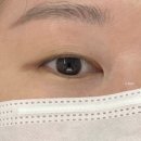 성수 속눈썹펌 다움 후기