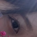 고운동_마음로 버스정류장 | 세종시 속눈썹 펌 추천 오늘도 예쁜눈에서 받은 후기