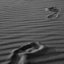 성산포사랑 이미지