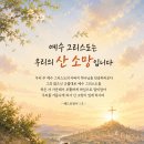 "보이는 말씀" 미디어복음 전도용 (26.07.16,) 이미지