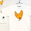 디자인폭스