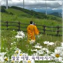 삼양교회 개방화장실 | 2026 강원도 여행 평창 가볼만한 곳 육백마지기 샤스타데이지 실시간 소개 및 주차 정보