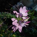 장제로155번길 이미지