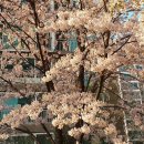 우장산역 1번출구 이미지