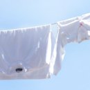 대아세탁 이미지