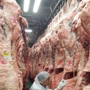 통합부경축산물공판장 이미지