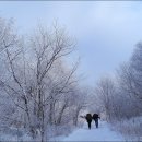 삼가-21 이미지