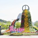 다채 이미지